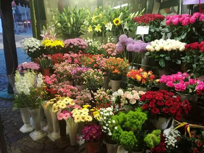 Fabryka bukietów kwiaciarnia